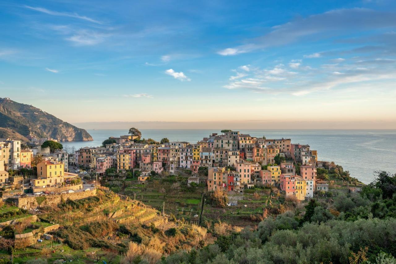 Willy'S Apartment Manarola Eksteriør bilde