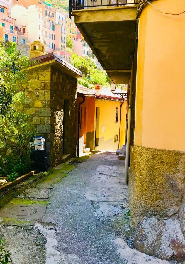 Willy'S Apartment Manarola Eksteriør bilde